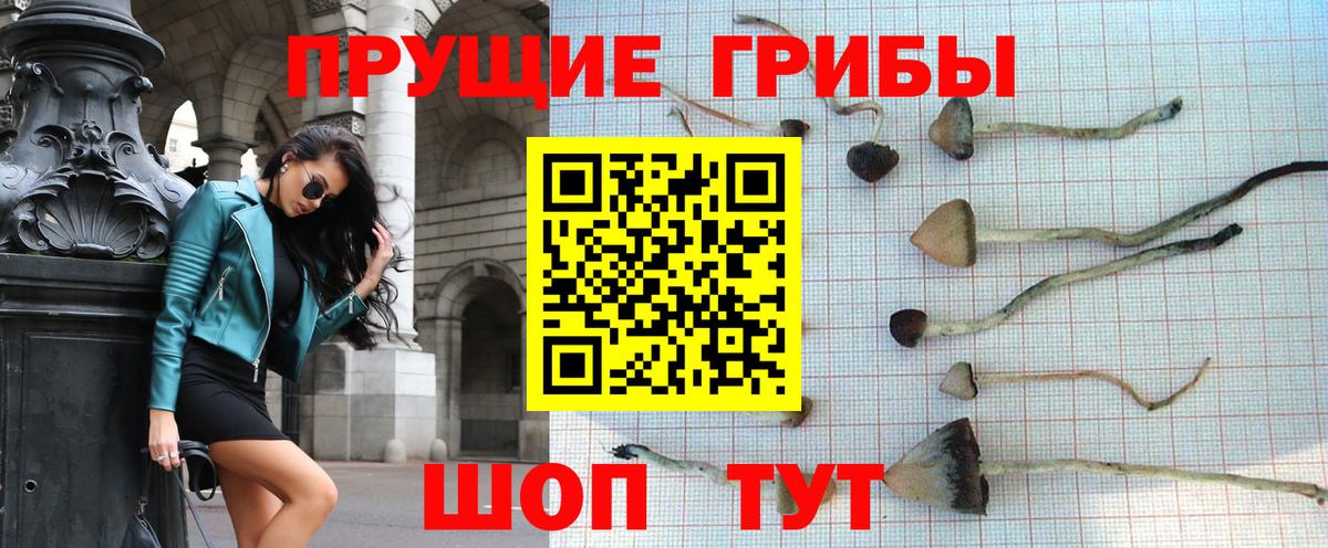 Семилуки  Галлюциногенные грибы MAGIC MUSHROOMS  Галлюциногенные грибы Magic Shrooms  Вход с VPN 